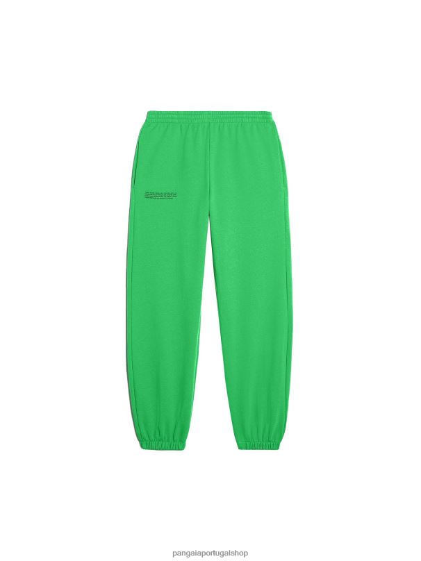 calças de pista de assinatura mulheres Pangaia JJJ8D346 Jade verde roupas